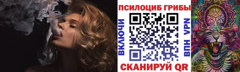 Купить  Кимры  Псилоцибиновые грибы Magic Shrooms 